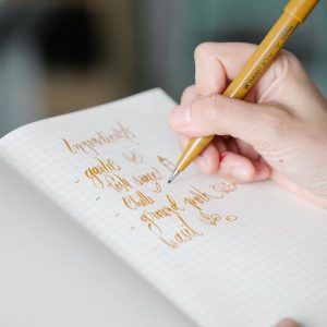 pexels-katya-wolf-8716160